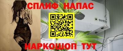 спиды Кингисепп