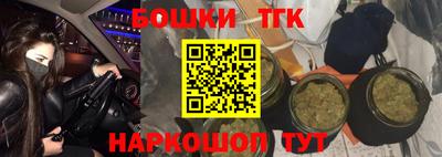 спиды Кингисепп