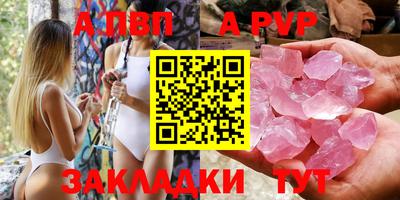 спиды Кингисепп