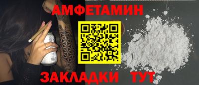 спиды Кингисепп