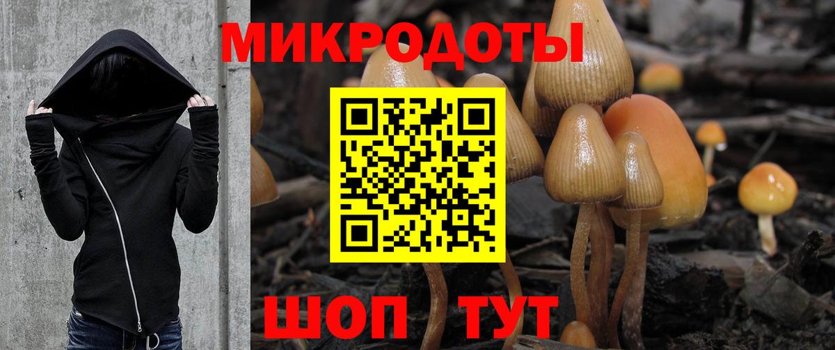Псилоцибиновые грибы Magic Shrooms  Вход с VPN  Псилоцибиновые грибы Psilocybine cubensis  Моршанск 